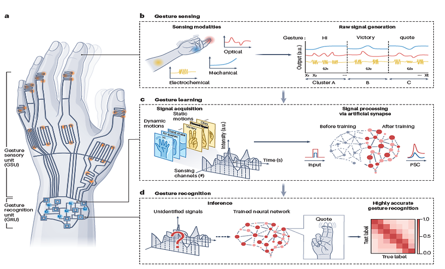 박성준 교수팀, 손 동작 인식 가능한 차세대 제스처 인식기술 로드맵 제시
